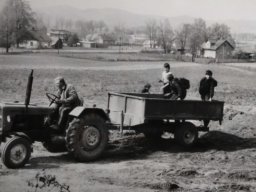 II