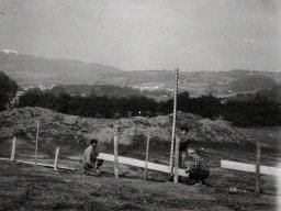 II