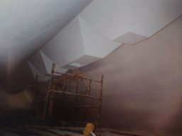 VII