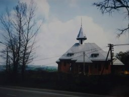 VII