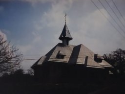 VII