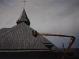 VII