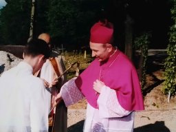 VIII