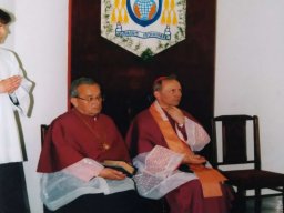 VIII