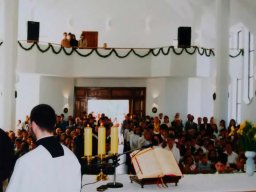 VIII